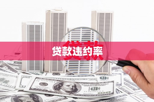 铜仁贷款违约率