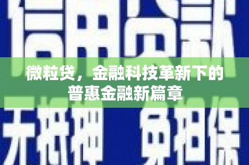 徐汇微粒贷，金融科技革新下的普惠金融新篇章