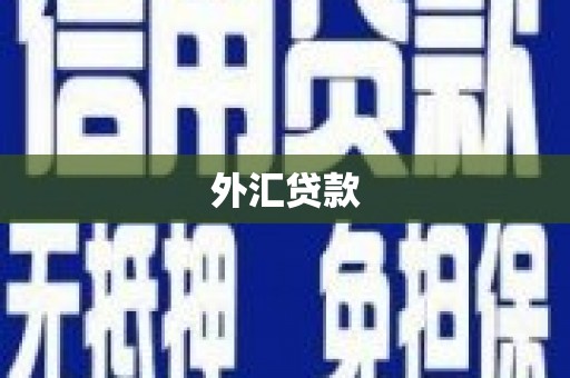 门头沟外汇贷款