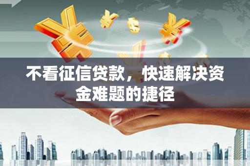 那玛夏不看征信贷款，快速解决资金难题的捷径
