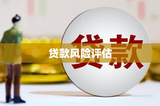 白山贷款风险评估