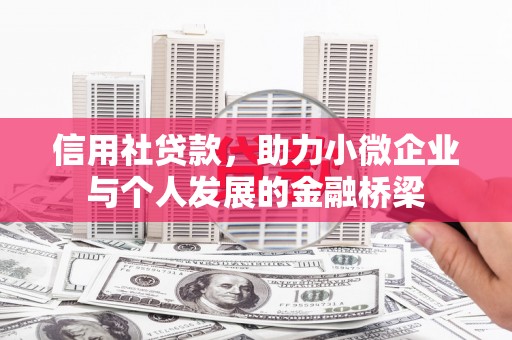 莱山信用社贷款，助力小微企业与个人发展的金融桥梁