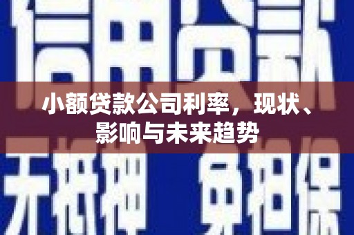 鹿城小额贷款公司利率，现状、影响与未来趋势
