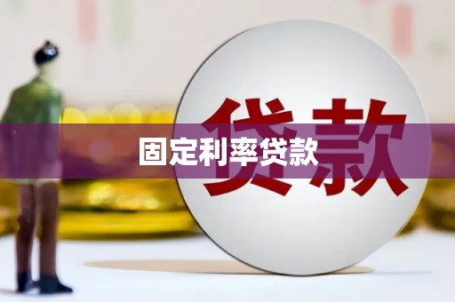 庆元固定利率贷款
