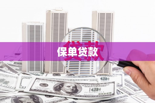 凤台保单贷款