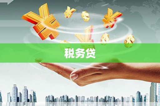 右玉税务贷