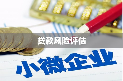 右玉贷款风险评估