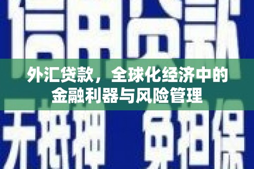 平湖外汇贷款，全球化经济中的金融利器与风险管理