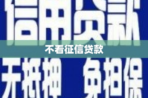 金阳不看征信贷款