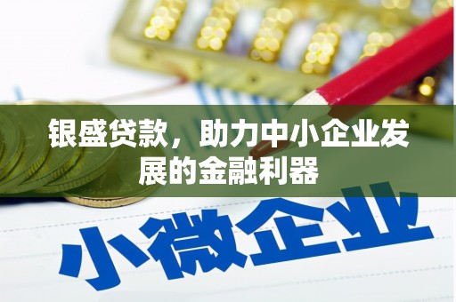 夏邑银盛贷款，助力中小企业发展的金融利器