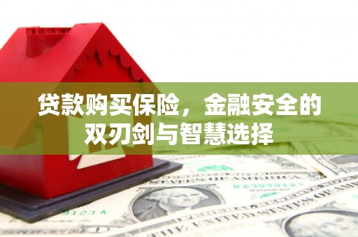 梧州贷款购买保险，金融安全的双刃剑与智慧选择