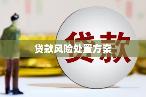 五股贷款风险处置方案