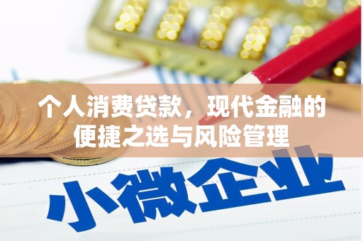 北市个人消费贷款，现代金融的便捷之选与风险管理