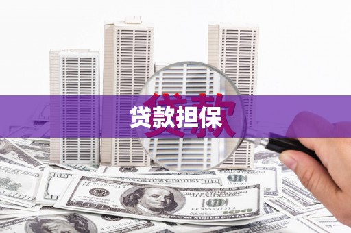 项城贷款担保
