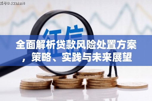 三穗全面解析贷款风险处置方案，策略、实践与未来展望