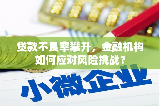 江东贷款不良率攀升，金融机构如何应对风险挑战？