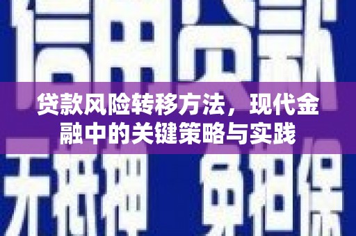 犍为贷款风险转移方法，现代金融中的关键策略与实践