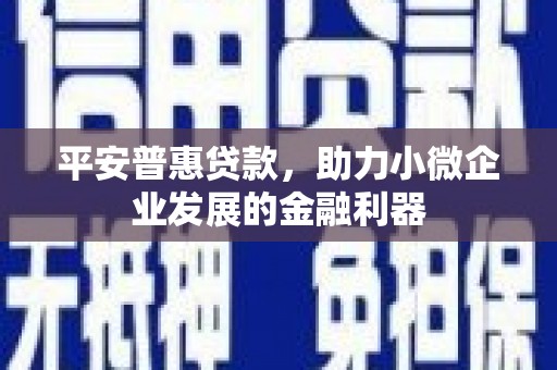 吕梁平安普惠贷款，助力小微企业发展的金融利器