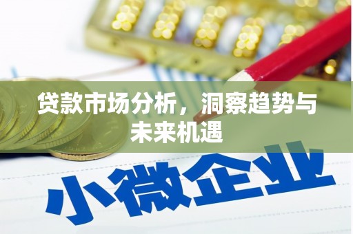 思南贷款市场分析，洞察趋势与未来机遇