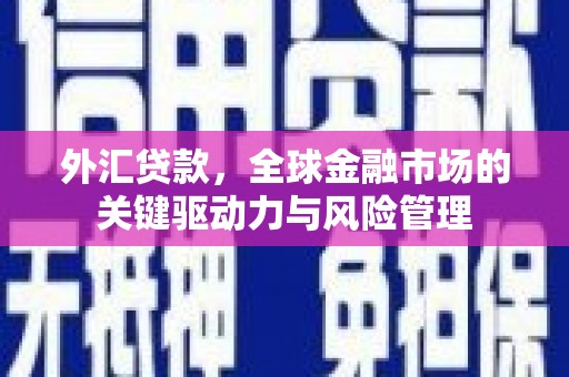 德保外汇贷款，全球金融市场的关键驱动力与风险管理