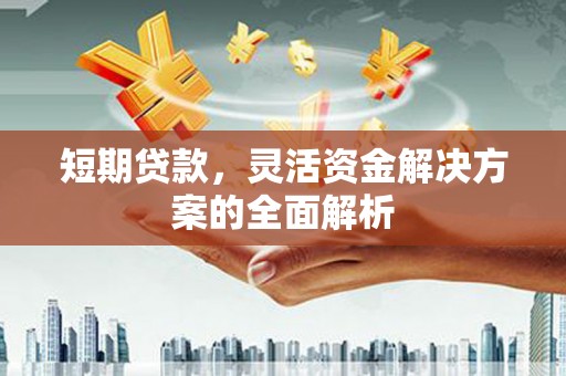 措勤短期贷款，灵活资金解决方案的全面解析