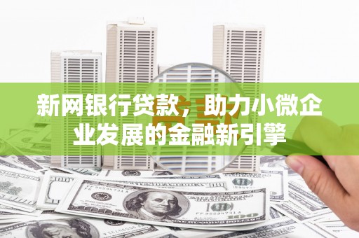 昭化新网银行贷款，助力小微企业发展的金融新引擎