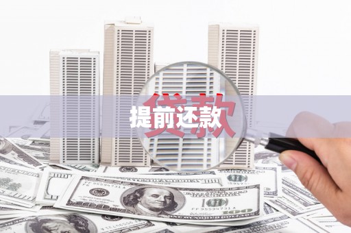 西林提前还款
