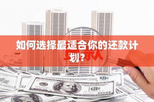 海安如何选择最适合你的还款计划？