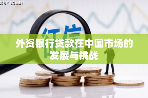 怀来外资银行贷款在中国市场的发展与挑战