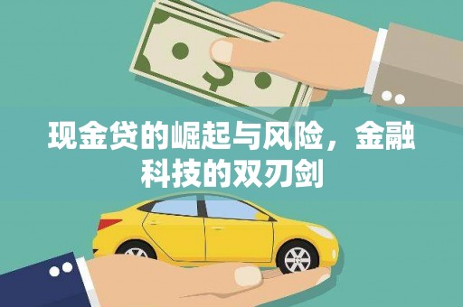 宜丰现金贷的崛起与风险，金融科技的双刃剑