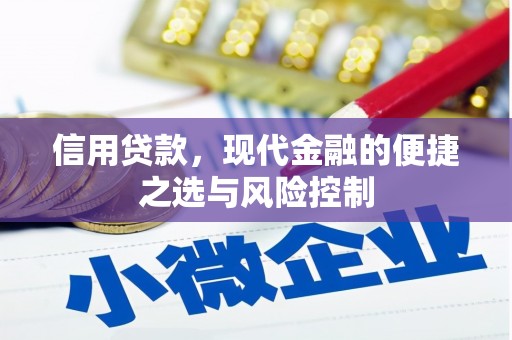 连山信用贷款，现代金融的便捷之选与风险控制