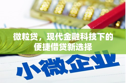 龙游微粒贷，现代金融科技下的便捷借贷新选择