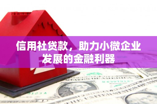 长安信用社贷款，助力小微企业发展的金融利器