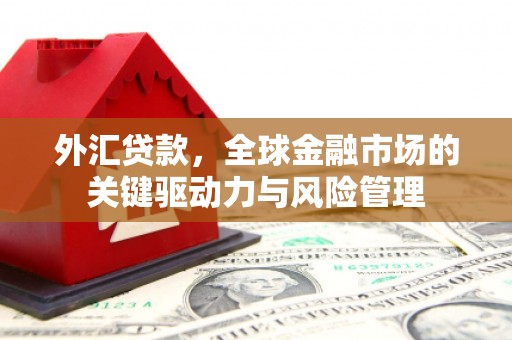 南宁外汇贷款，全球金融市场的关键驱动力与风险管理