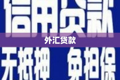 横栏外汇贷款
