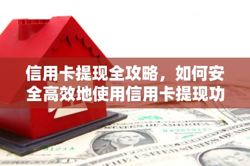 维西信用卡提现全攻略，如何安全高效地使用信用卡提现功能