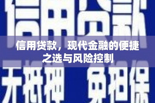 巧家信用贷款，现代金融的便捷之选与风险控制