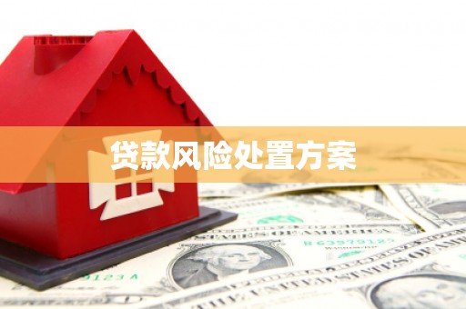 浑南贷款风险处置方案