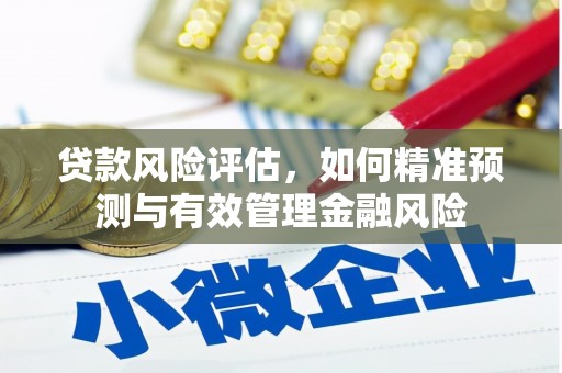 雁塔贷款风险评估，如何精准预测与有效管理金融风险