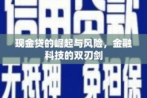 灌南现金贷的崛起与风险，金融科技的双刃剑