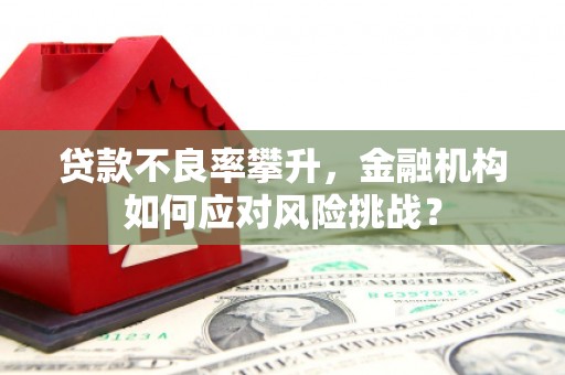 鹿城贷款不良率攀升，金融机构如何应对风险挑战？