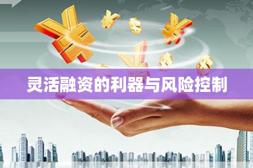 芎林灵活融资的利器与风险控制