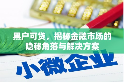 武平黑户可贷，揭秘金融市场的隐秘角落与解决方案