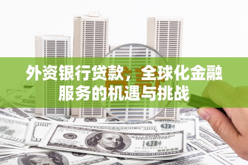 连山外资银行贷款，全球化金融服务的机遇与挑战
