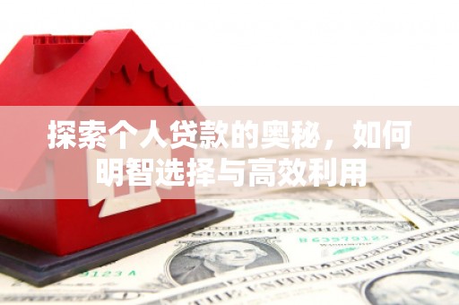 林芝探索个人贷款的奥秘，如何明智选择与高效利用