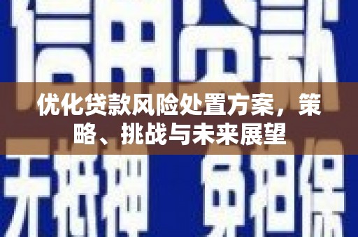 甘谷优化贷款风险处置方案，策略、挑战与未来展望