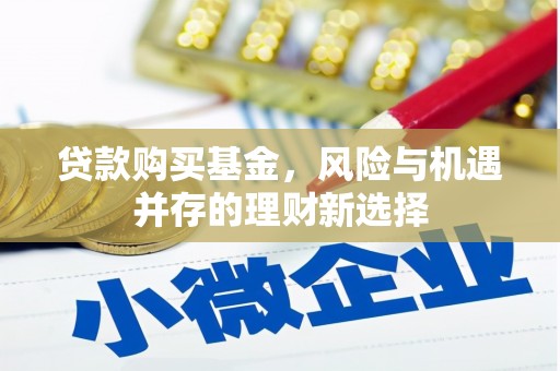 林甸贷款购买基金，风险与机遇并存的理财新选择