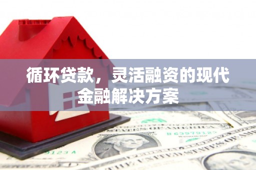 雨城循环贷款，灵活融资的现代金融解决方案