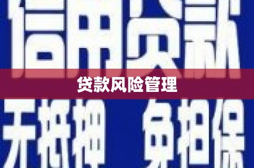 灵武贷款风险管理