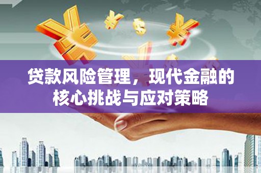 嘉祥贷款风险管理，现代金融的核心挑战与应对策略